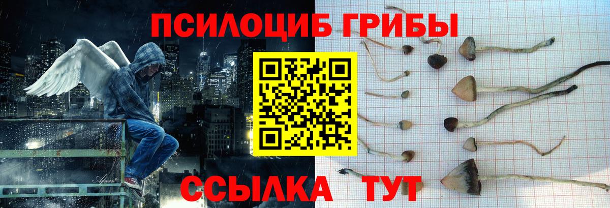 Углич  Псилоцибиновые грибы MAGIC MUSHROOMS  Вход с VPN 
